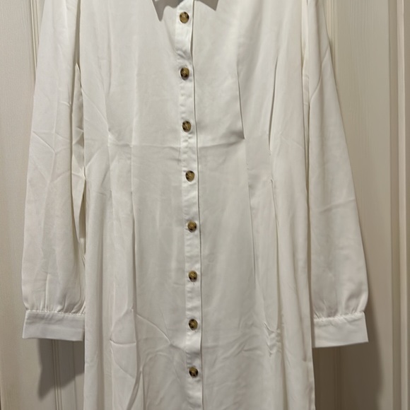 HAVE L Button Down - Picture 3 of 7